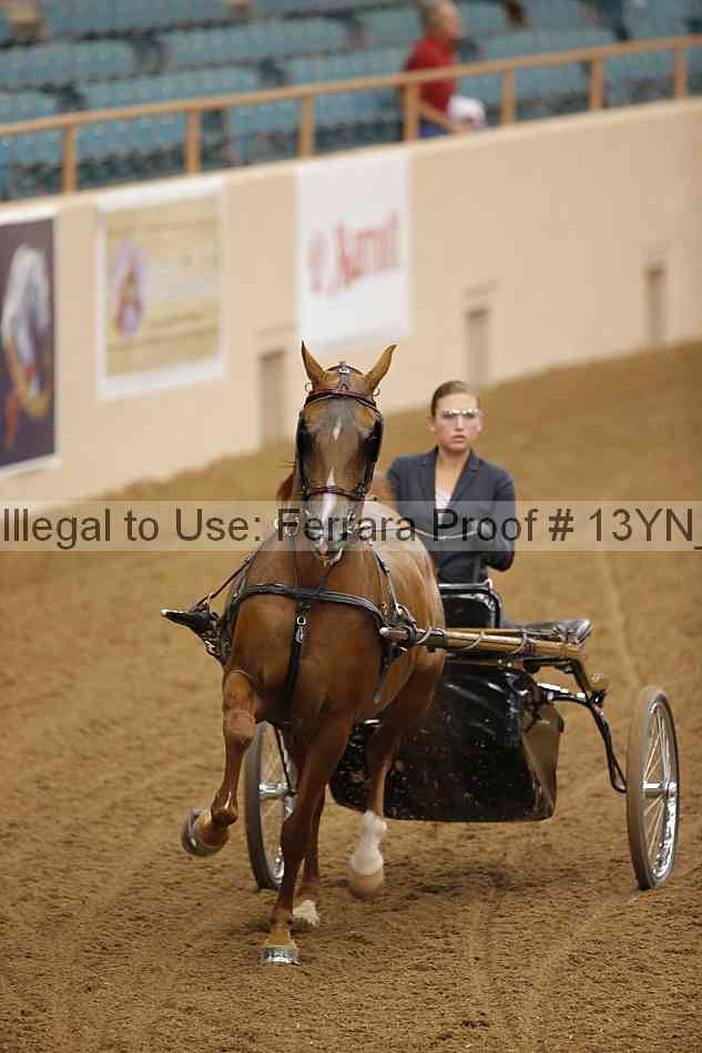 Proof 13yn_06905