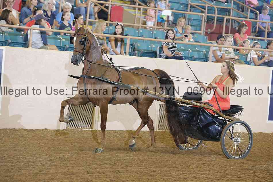 Proof 13yn_06907
