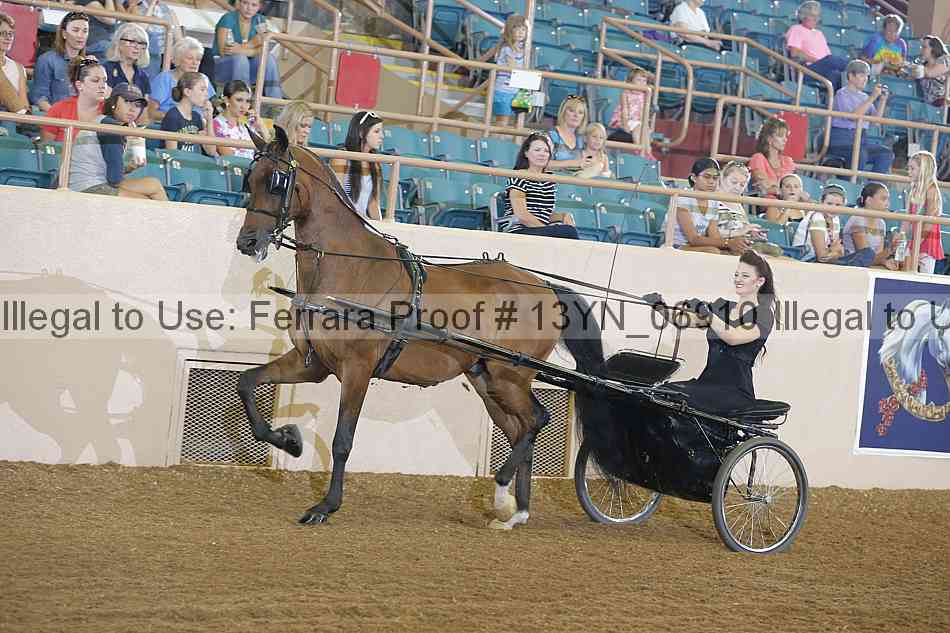 Proof 13yn_06910