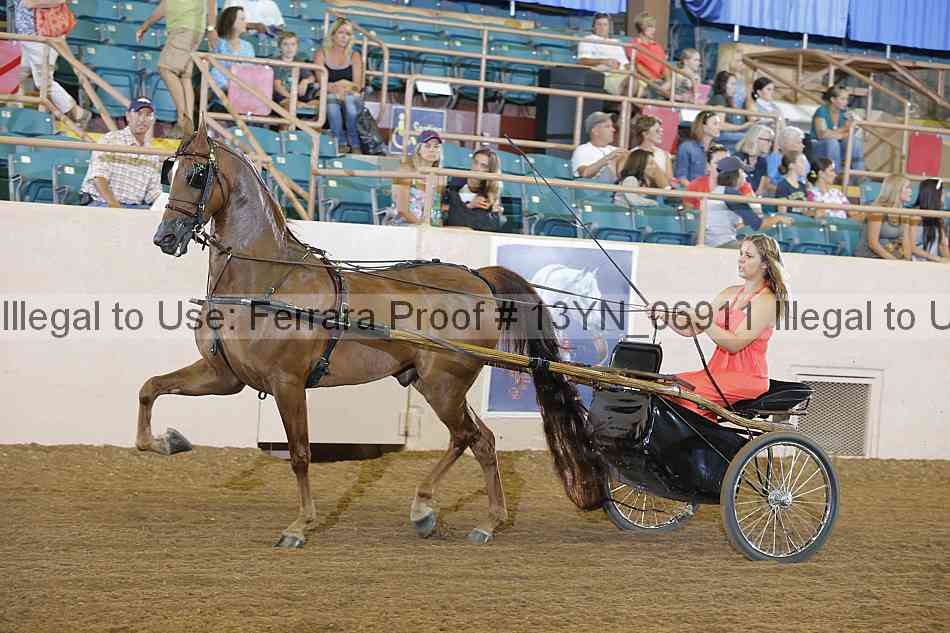 Proof 13yn_06911