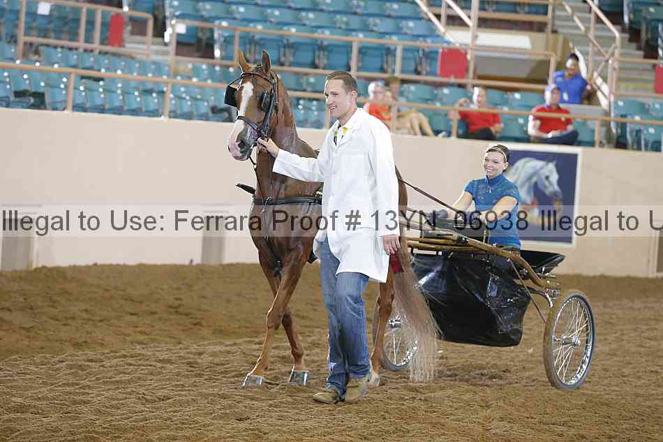 Proof 13yn_06938