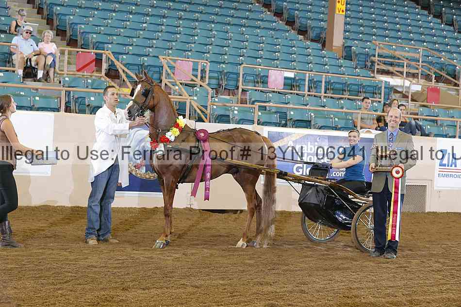Proof 13yn_06941