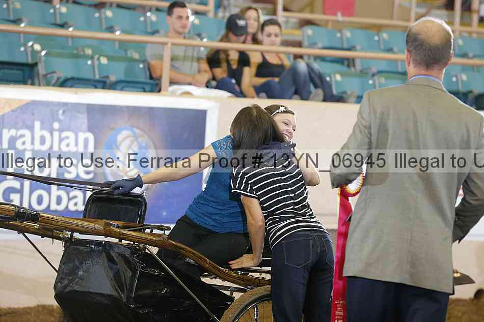 Proof 13yn_06945