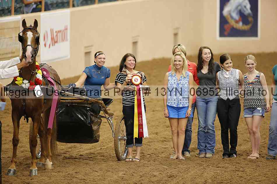 Proof 13yn_06952