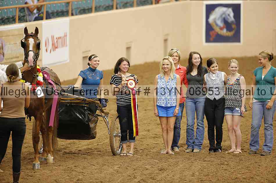 Proof 13yn_06953