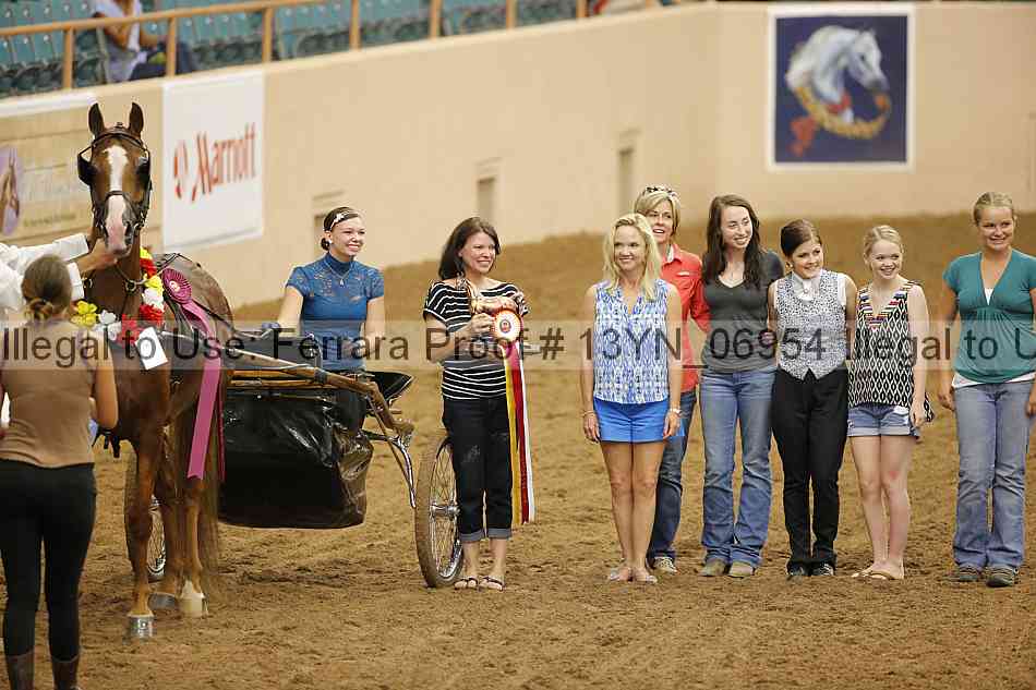 Proof 13yn_06954