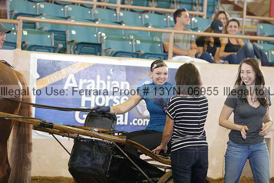 Proof 13yn_06955