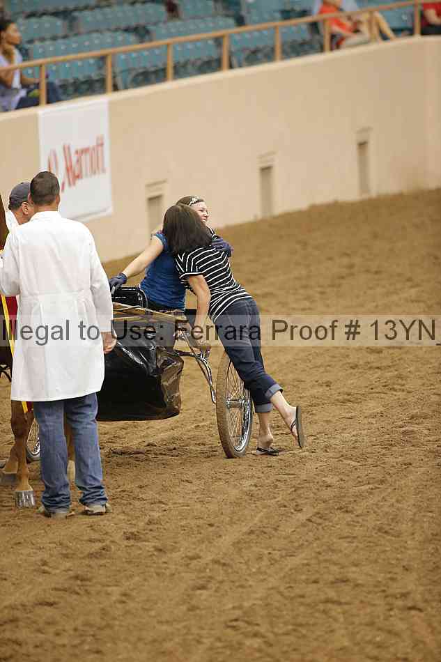 Proof 13yn_06957