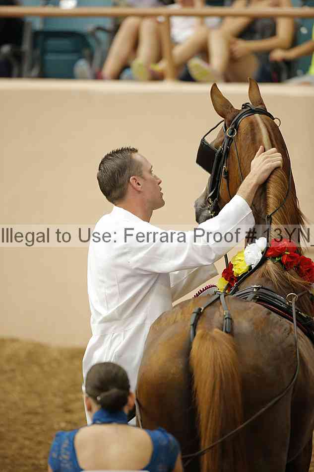 Proof 13yn_06960