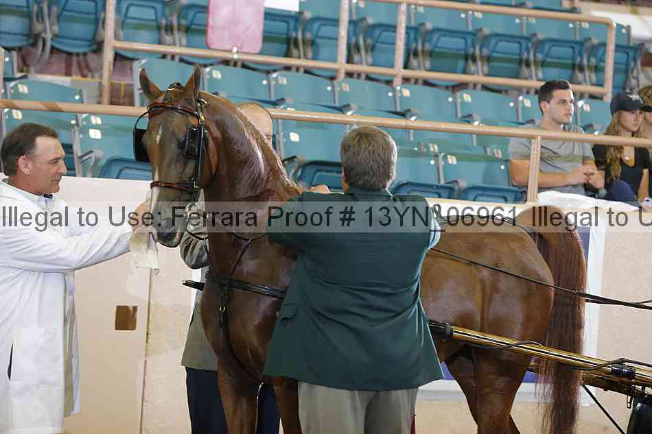 Proof 13yn_06961