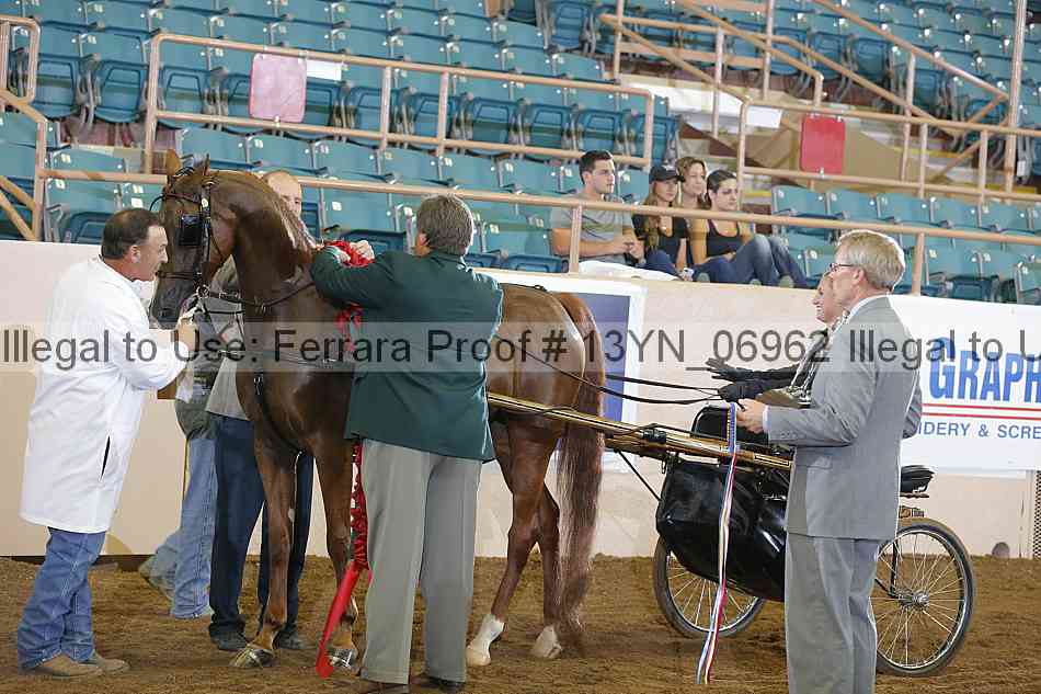 Proof 13yn_06962