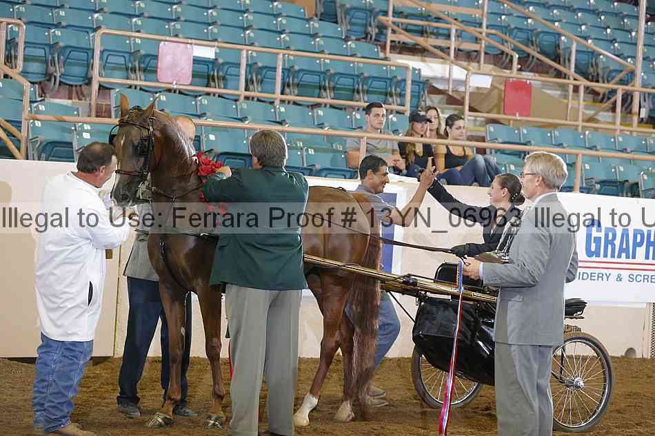 Proof 13yn_06963