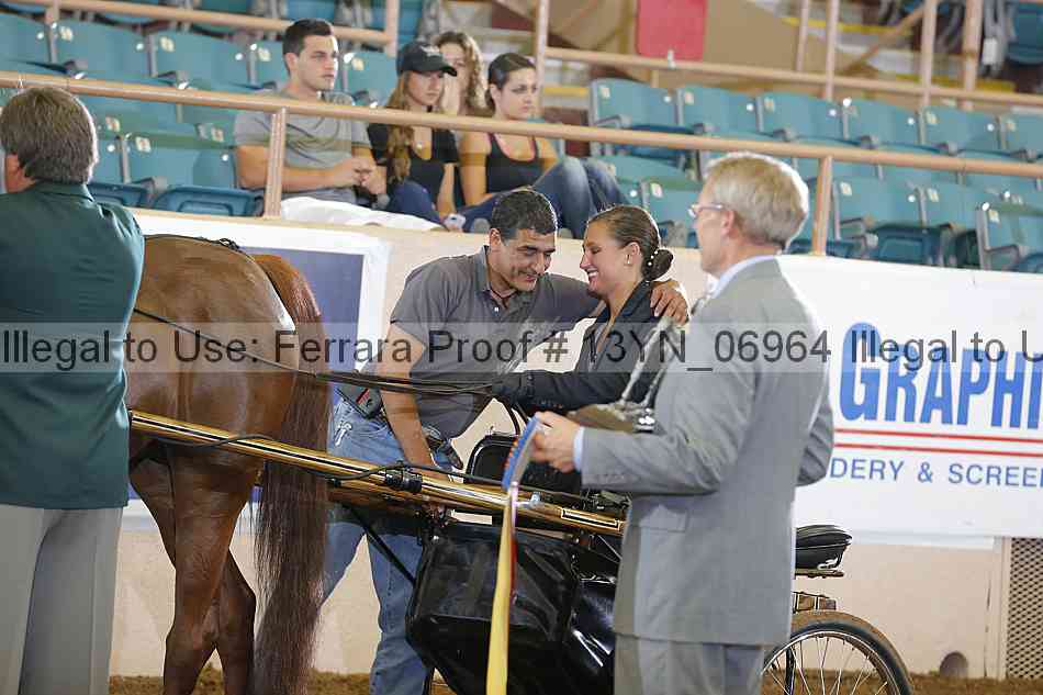Proof 13yn_06964
