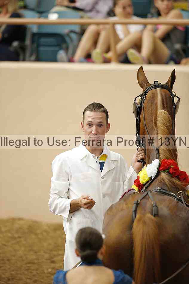 Proof 13yn_06967