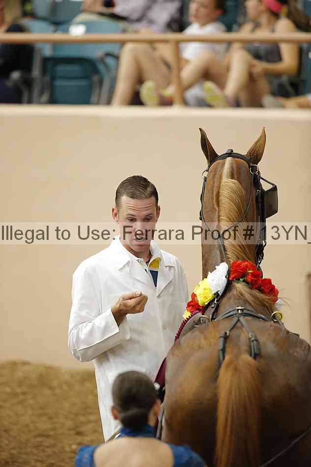 Proof 13yn_06971