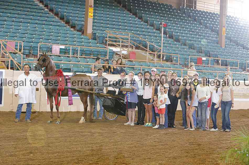 Proof 13yn_06979