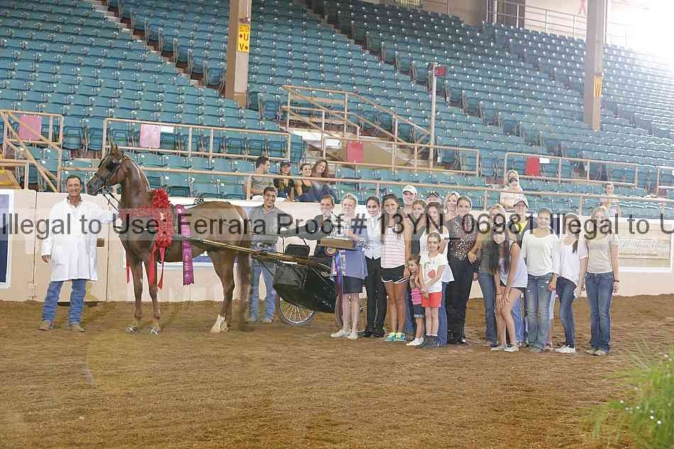 Proof 13yn_06981