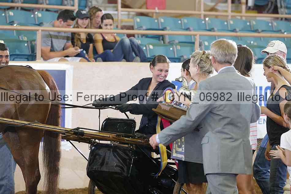 Proof 13yn_06982
