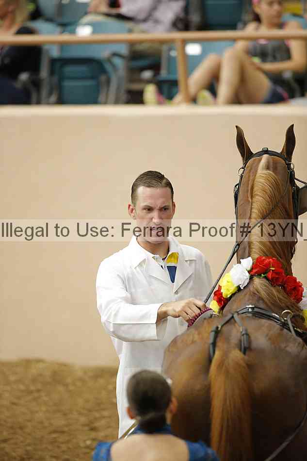 Proof 13yn_06983