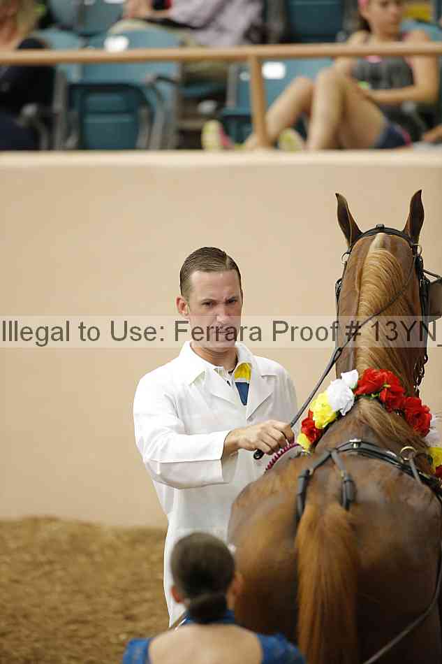Proof 13yn_06984