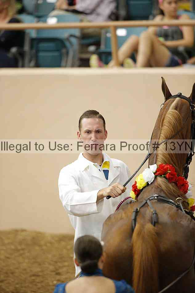 Proof 13yn_06985