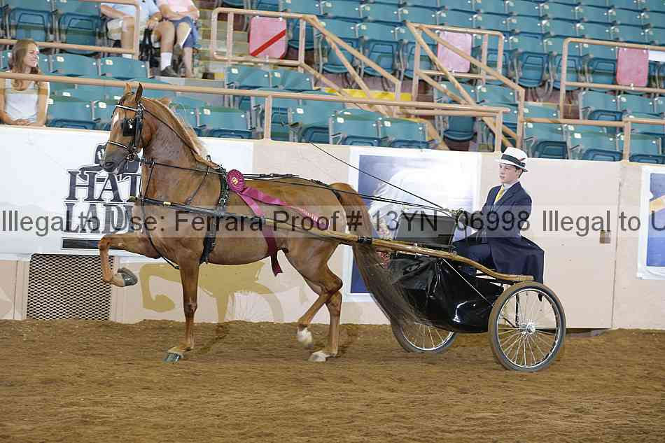 Proof 13yn_06998
