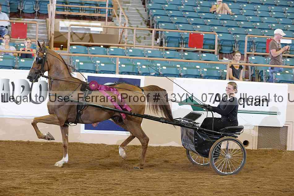 Proof 13yn_07005