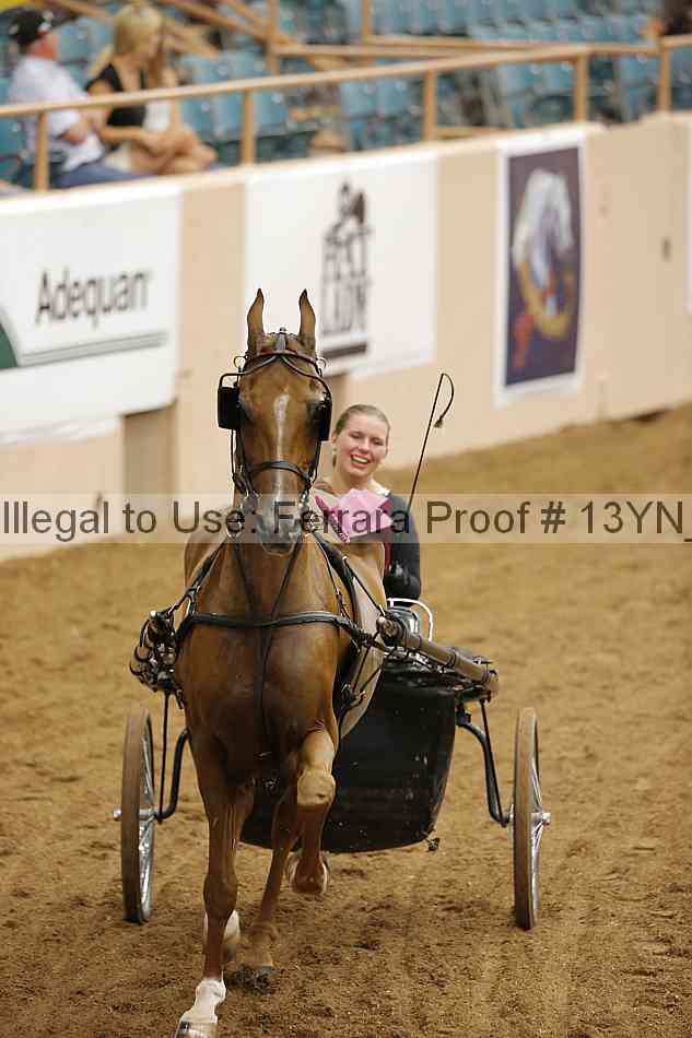 Proof 13yn_07007