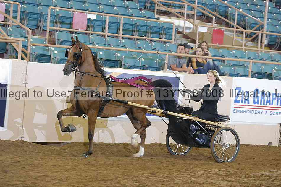 Proof 13yn_07008
