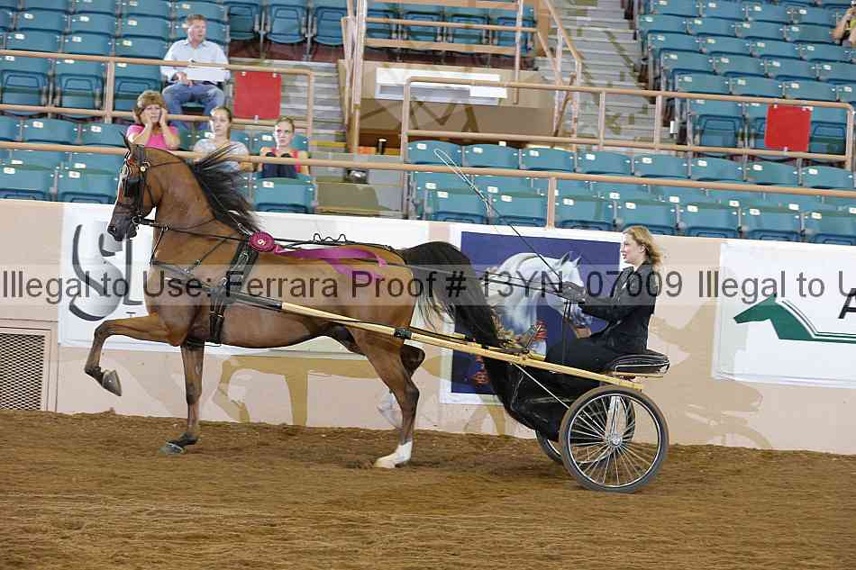 Proof 13yn_07009