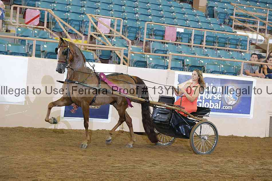Proof 13yn_07010