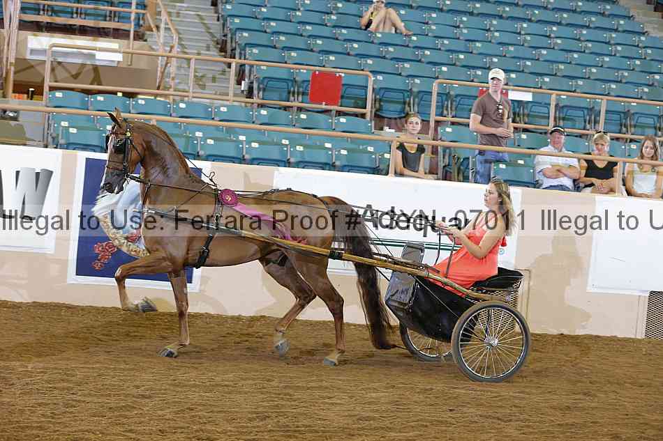 Proof 13yn_07011