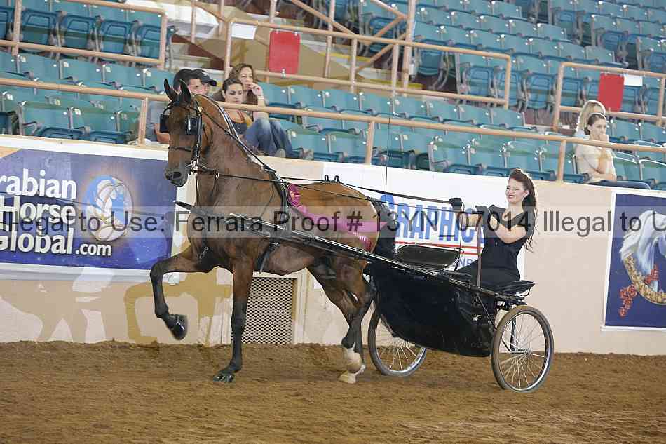 Proof 13yn_07014