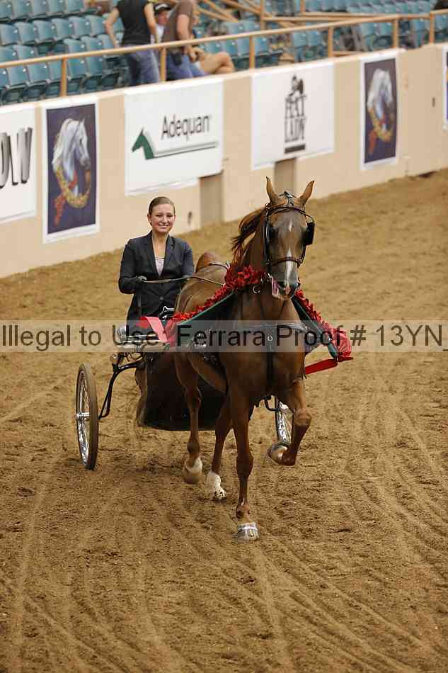 Proof 13yn_07027