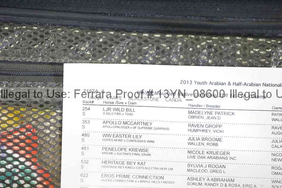 Proof 13yn_08600