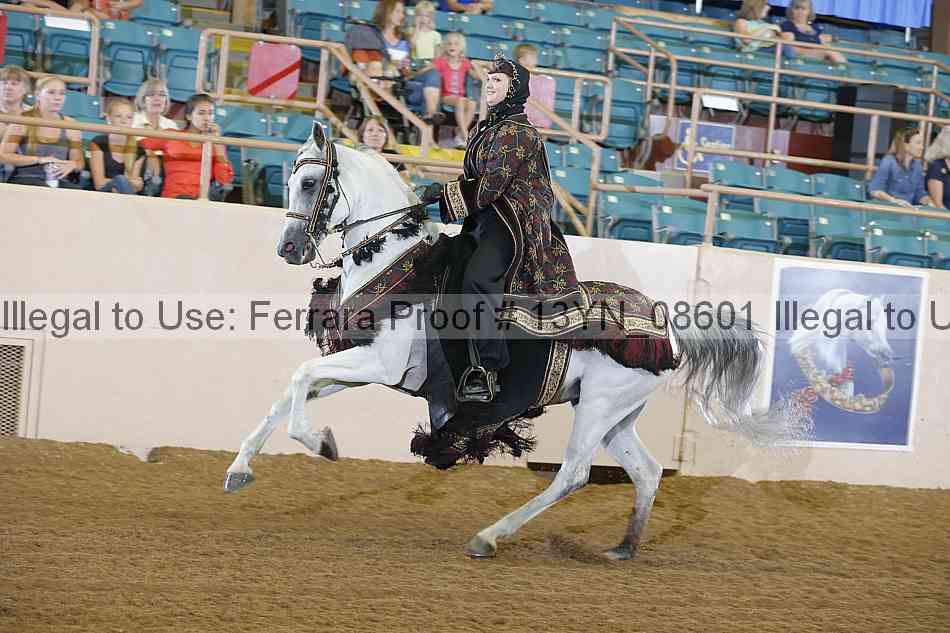 Proof 13yn_08601