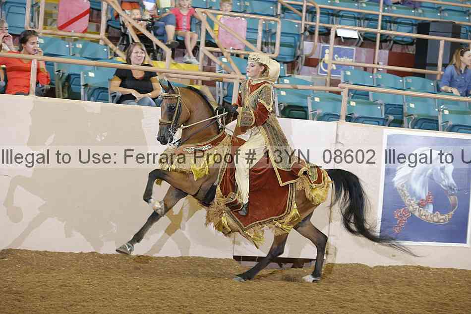 Proof 13yn_08602