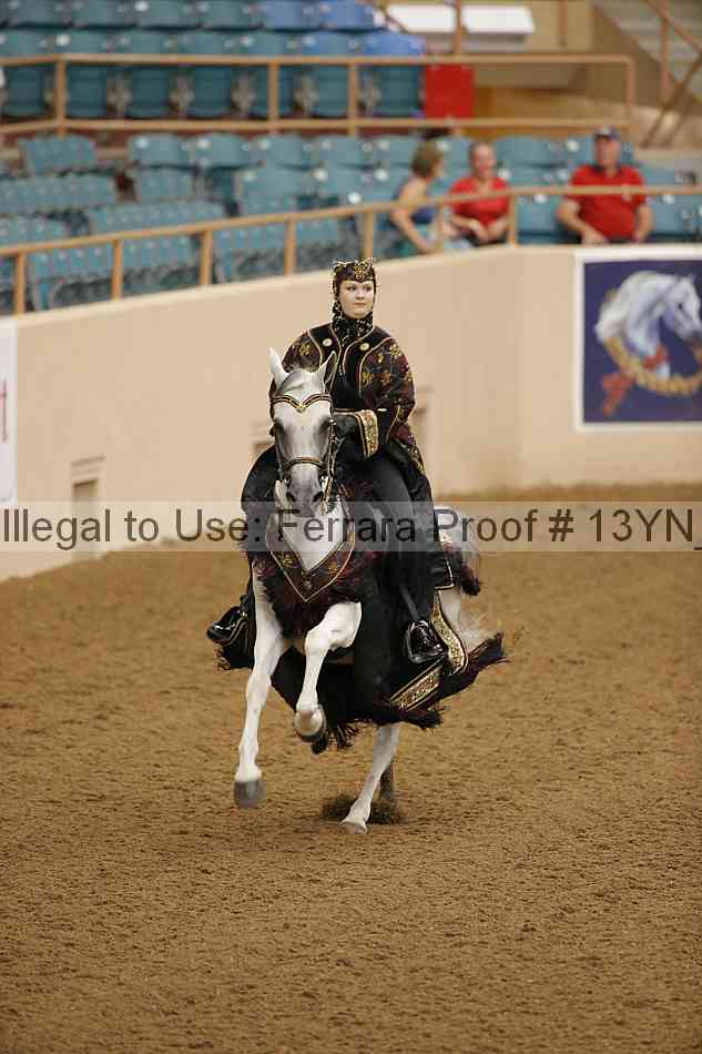 Proof 13yn_08603