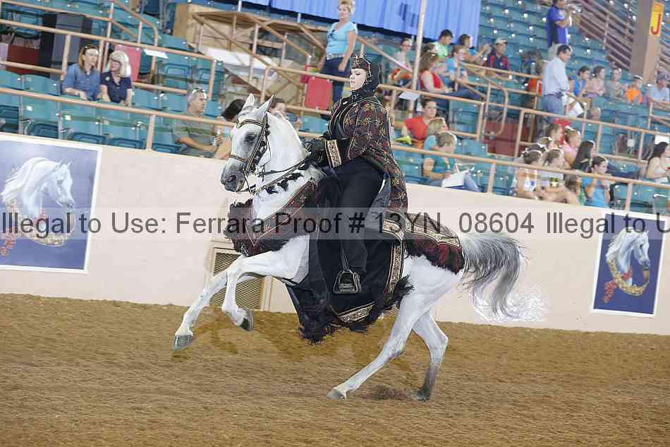 Proof 13yn_08604