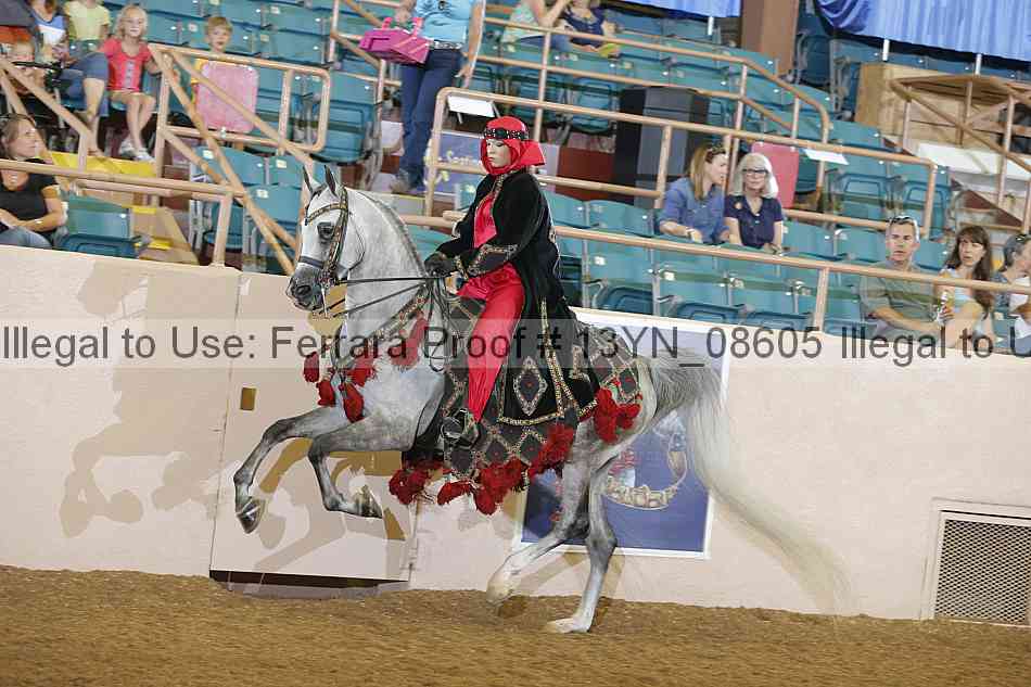 Proof 13yn_08605
