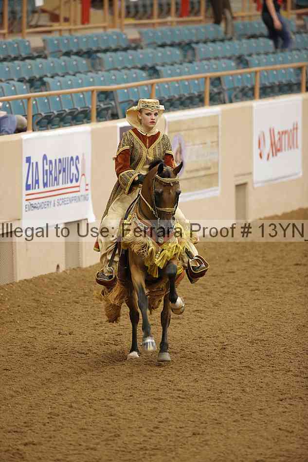 Proof 13yn_08606