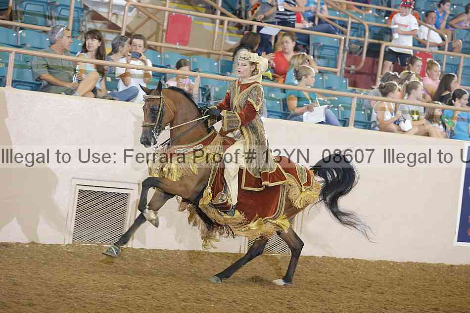 Proof 13yn_08607