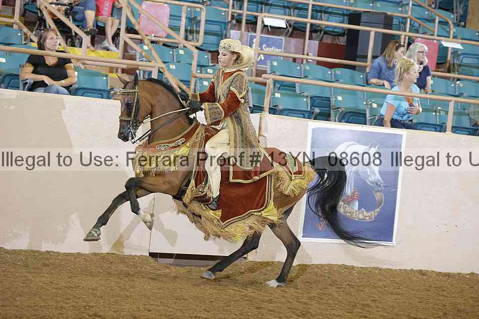 Proof 13yn_08608
