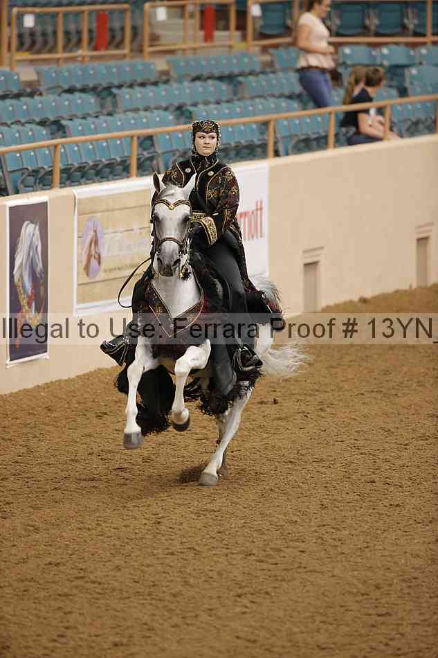 Proof 13yn_08611
