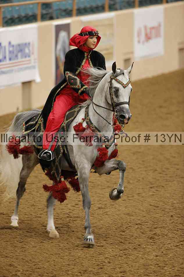 Proof 13yn_08614