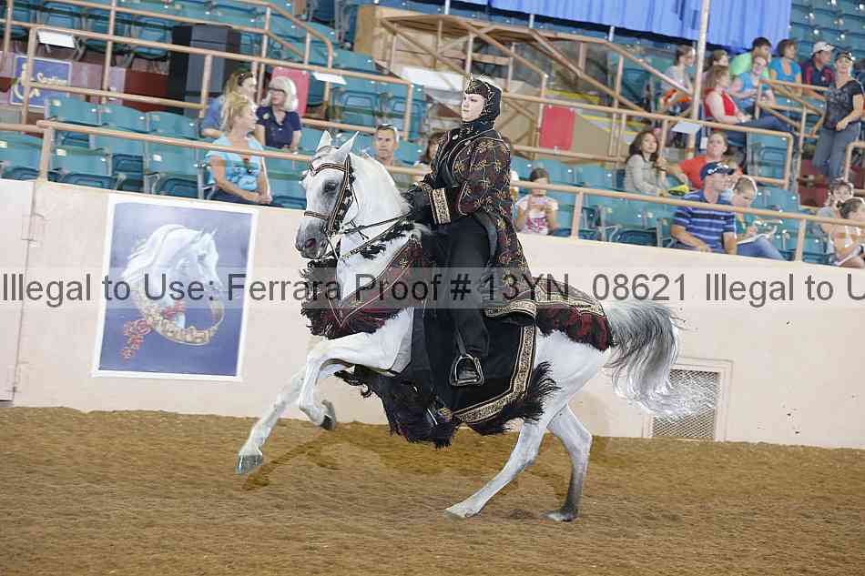 Proof 13yn_08621