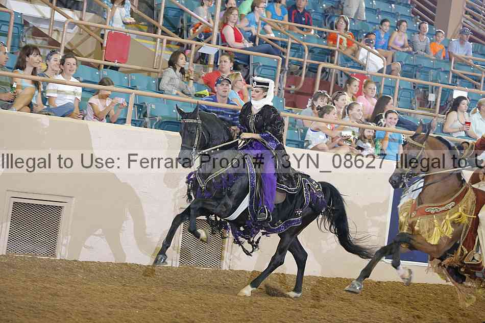 Proof 13yn_08627