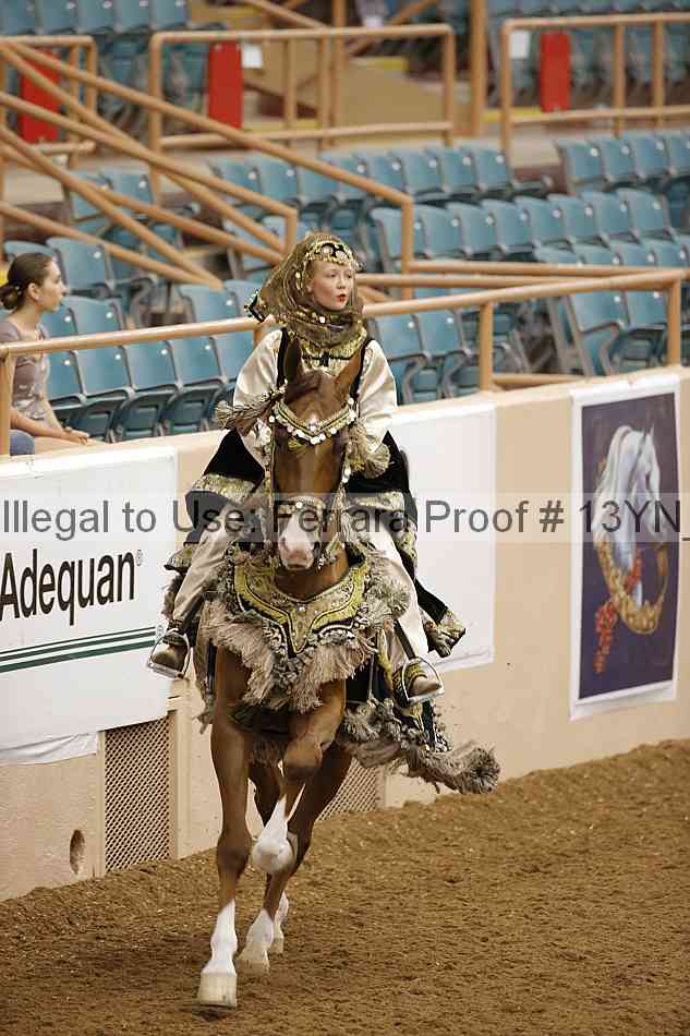 Proof 13yn_08631