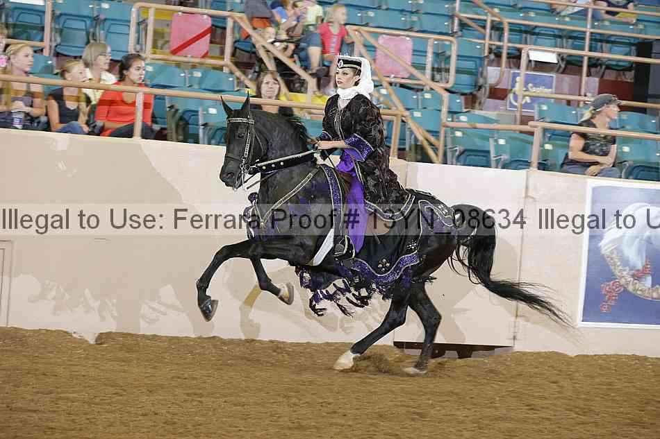 Proof 13yn_08634