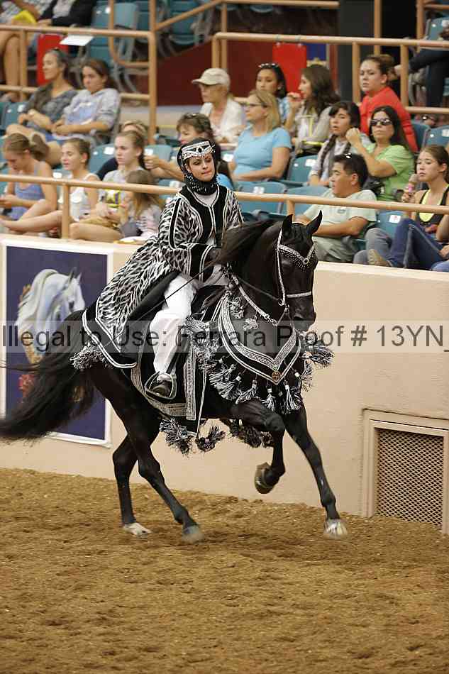 Proof 13yn_08652